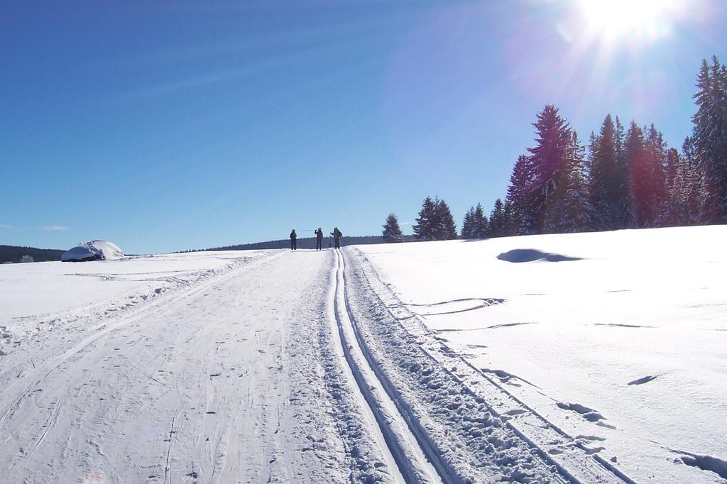 Penzion Vozzyk Nove Hute Exteriör bild